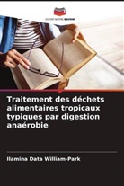 Ilamina Data William-Park - Traitement des déchets alimentaires tropicaux typiques par digestion anaérobie