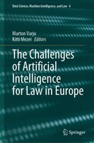 Mezei, Kitti Mezei, Marton Varju - The Challenges of Artificial Intelligence for Law in Europe