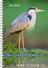 Workman Calendars, National Audubon Society, National Audubon Society, National Audubon Calendars Society, Workman Calendars - Audubon Engagement Calendar 2025