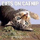 Workman Calendars, Andrew Martilla, Andrew Marttila, Marttila Andrew, Workman Calendars - Cats on Catnip 2025