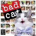 Rob Battles, Battles Rob, Harry Prichett, Harry Rosen Prichett, Prichett Harry, Richard D. Rosen - Bad Cat Wall Calendar 2025