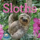 Workman Calendars, Lucy Cooke, Lucy Calendars Cooke, Workman Calendars - Original Sloths Mini Wall Calendar 2025