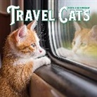 Workman Calendars, Workman Calendars - Travel Cats Wall Calendar 2025
