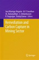 S. Chidambaram, M. P. Jonathan, Pankaj Kumar, A L Ramanathan et al, José Marrugo Negrete, José Marrugo-Negrete... - Remediation and Carbon Capture in Mining Sector
