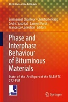 Francesco Canestrari, Emmanuel Chailleux, Laurent Porot, Christiane Raab, Cédric Sauzéat, Cédric Sauzéat et al - Phase and Interphase Behaviour of Bituminous Materials