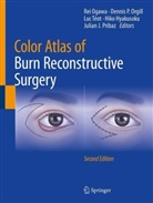 Em. Hiko Hyakusoku, Rei Ogawa, Dennis P. Orgill, Dennis P Orgill, Julian Pribaz, Luc Téot... - Color Atlas of Burn Reconstructive Surgery