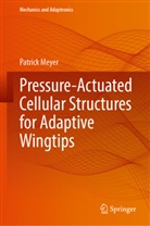 Patrick Meyer - Pressure-Actuated Cellular Structures for Adaptive Wingtips