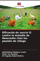 El-Yuguda Abdul-Dahiru, Umar Isa Ibrahim, Jallailudeen Rabana Lawal - Efficacité du vaccin I2 contre la maladie de Newcastle chez les poulets de village