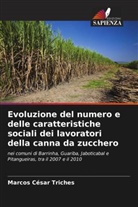 Marcos César Triches - Evoluzione del numero e delle caratteristiche sociali dei lavoratori della canna da zucchero