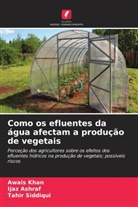 Ijaz Ashraf, Awais Khan, Tahir Siddiqui - Como os efluentes da água afectam a produção de vegetais