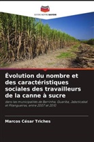 Marcos César Triches - Évolution du nombre et des caractéristiques sociales des travailleurs de la canne à sucre