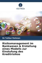 Sk Talibur Rahman - Risikomanagement im Bankwesen & Erstellung eines Modells zur Einstufung des Kreditrisikos