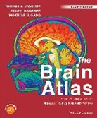 Mokhtar H Gado, Gado Mokhtar H., Joseph Hanaway, Hanaway Joseph, Thomas A Woolsey, Thomas A. Woolsey... - Brain Atlas