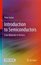 Peter Sutter - Introduction to Semiconductors