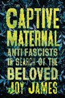 James Joy - The Captive Maternal
