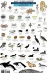 Craig MacGowan - Mac's Field Guides: Olympic National Park