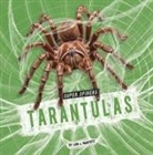 Lisa J Amstutz - Tarantulas