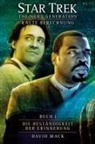 David Mack - Star Trek - The Next Generation 08
