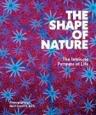 David Maitland, Maitland David - The Shape of Nature