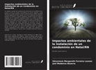Joel Medeiros Bezerra, Edcarmem Margareth Ferreira Leonez - Impactos ambientales de la instalación de un condominio en Natal/RN