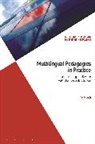 Mei French - Multilingual Pedagogies in Practice