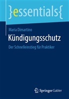 Maria Dimartino - Kündigungsschutz
