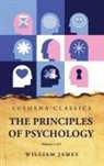 William James - The Principles of Psychology Volume 2 of 2