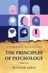 William James - The Principles of Psychology Volume 2 of 2