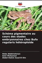 Heba Abdelrahman, Amir Mohamed, Abdel-Hakim Saad El-Din - Schéma pigmentaire au cours des stades embryonnaires chez Bufo regularis hétéroploïde