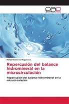 Rafael Estévez Muguercia - Repercusión del balance hidromineral en la microcirculación