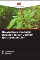 P. Prabheena, N. Ramani - Brevipalpus phoenicis Infestation sur Ocimum gratissimum Linn