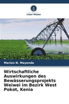 Marion N Mayende, Marion N. Mayende - Wirtschaftliche Auswirkungen des Bewässerungsprojekts Weiwei im Bezirk West Pokot, Kenia