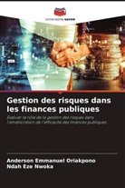 Ndah Eze Nwoka, Anderson Emmanuel Oriakpono - Gestion des risques dans les finances publiques