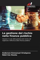 Ndah Eze Nwoka, Anderson Emmanuel Oriakpono - La gestione del rischio nella finanza pubblica