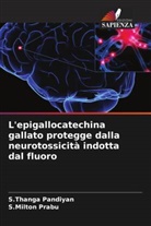 S. Thanga Pandiyan, S.Thanga Pandiyan, S. Milton Prabu, S.Milton Prabu - L'epigallocatechina gallato protegge dalla neurotossicità indotta dal fluoro