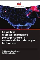 S. Thanga Pandiyan, S.Thanga Pandiyan, S. Milton Prabu, S.Milton Prabu - Le gallate d'épigallocatéchine protège contre la neurotoxicité induite par le fluorure