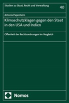 Antonia Papenheim - Klimaschutzklagen gegen den Staat in den USA und Indien