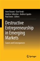 Andrea Caputo, Amir Emami, Andrew Johnston, Andrew Johnston et al, Paul Jones, Esin Yoruk - Destructive Entrepreneurship in Emerging Markets