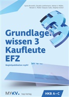 Brunetti, Aymo Brunetti, Claudia Lanthemann, Adrian S. Müller, Renato C. Müller Vasquez Callo, Stephan Schori - Grundlagenwissen 3 Kaufleute EFZ - HKB A bis HKB C
