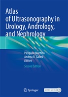 B Galosi, Andrea B. Galosi, Pasquale Martino - Atlas of Ultrasonography in Urology, Andrology, and Nephrology