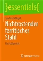 Joachim Schlegel - Nichtrostender ferritischer Stahl