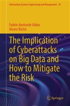 Fadele Ayotunde Alaba, Alvaro Rocha - The Implication of Cyberattacks on Big Data and How to Mitigate the Risk