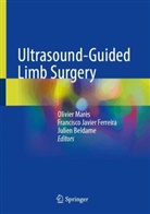 Juli Beldame, Julien Beldame, Francisco Javier Ferreira, Francisco Javier Ferreira Villanova, Francisco Javier Ferreira, Francisco Javier Ferreira Villanova... - Ultrasound-Guided Limb Surgery