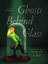 Dolly Jørgensen, Dolly Jørgensen - Ghosts Behind Glass
