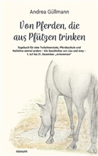 Andrea Güllmann - Von Pferden, die aus Pfützen trinken