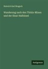 Heinrich Karl Brugsch - Wanderung nach den Türkis-Minen und der Sinai-Halbinsel