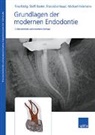 Steffi Baster, Franziska Haupt, Franziska u a Haupt, Michael Hülsmann, Tina Rödig - Grundlagen der modernen Endodontie