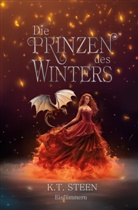 K T Steen, K. T. Steen, K.T. Steen - Die Prinzen des Winters: Eisflimmern