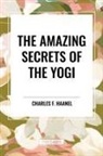 Charles F. Haanel - The Amazing Secrets of the Yogi