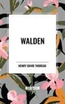 Henry D. Thoreau - Walden